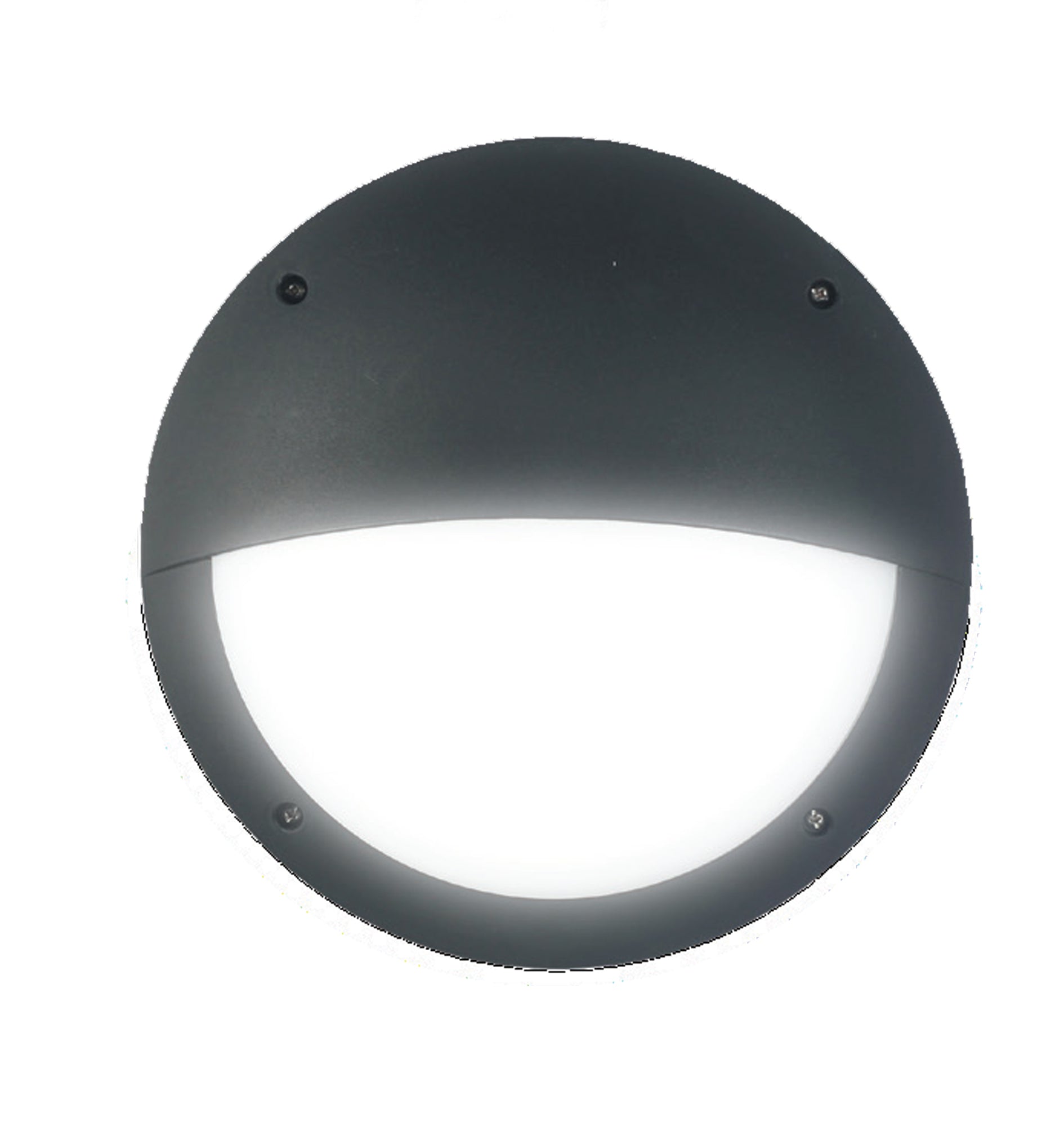 BULK7 lighton.jpg