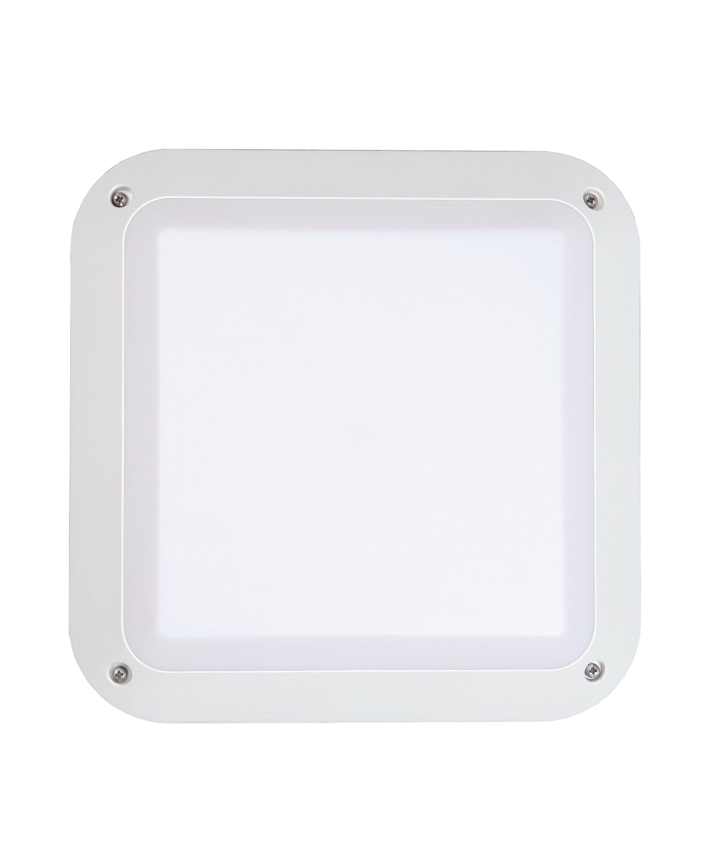 BULK: LED Exterior Bulkhead Lights IP66 & IK10