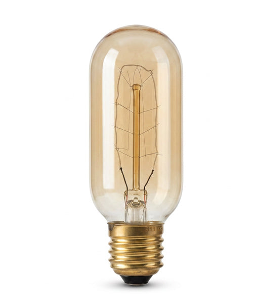 T45 Carbon Filament Globes