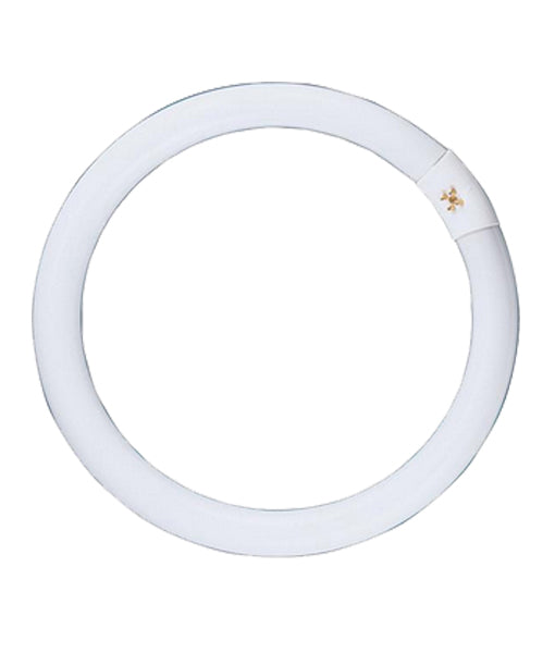 T9 Circular Fluorescent Globes