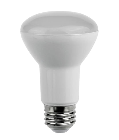 R63 & R80 LED Globes