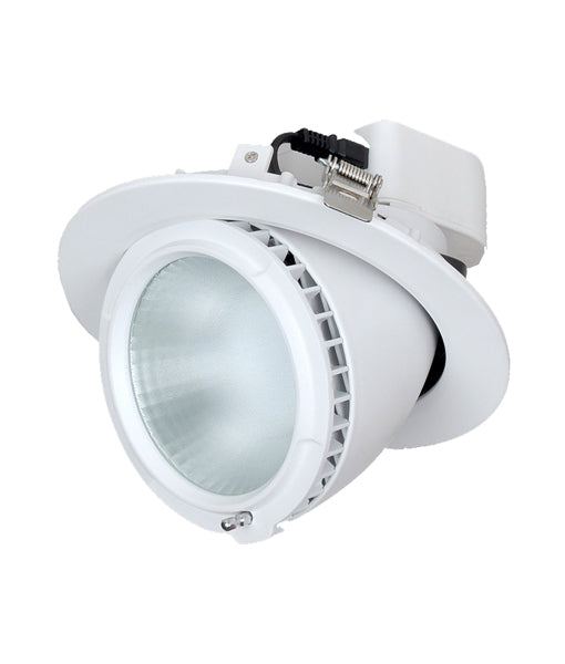 SHOP: LED Commercial Shop Lighters / Downlights (Round)