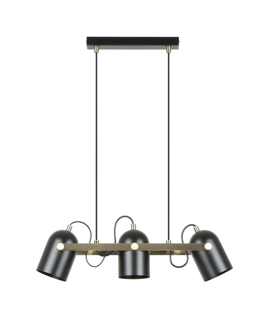 TAZZA: Interior Ellipse Shade with Antique Brass Hardware Pendant Light